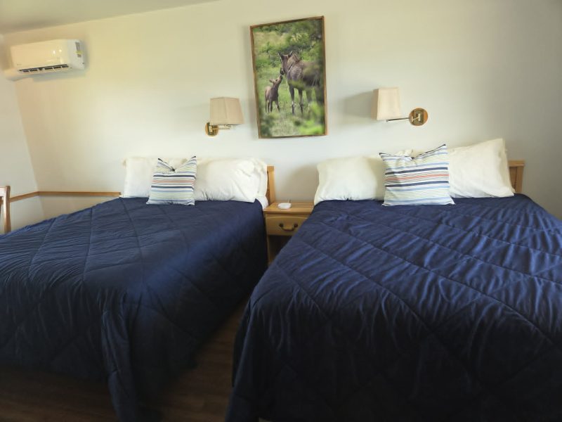 Motel – Animaux domestiques
